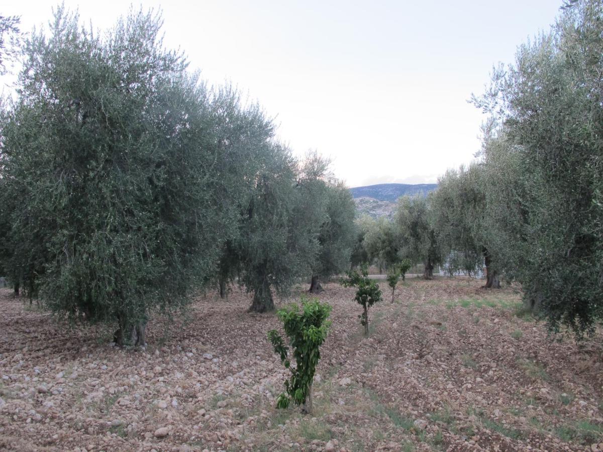Olive&Sea Villa-Sea Mattinata Dış mekan fotoğraf