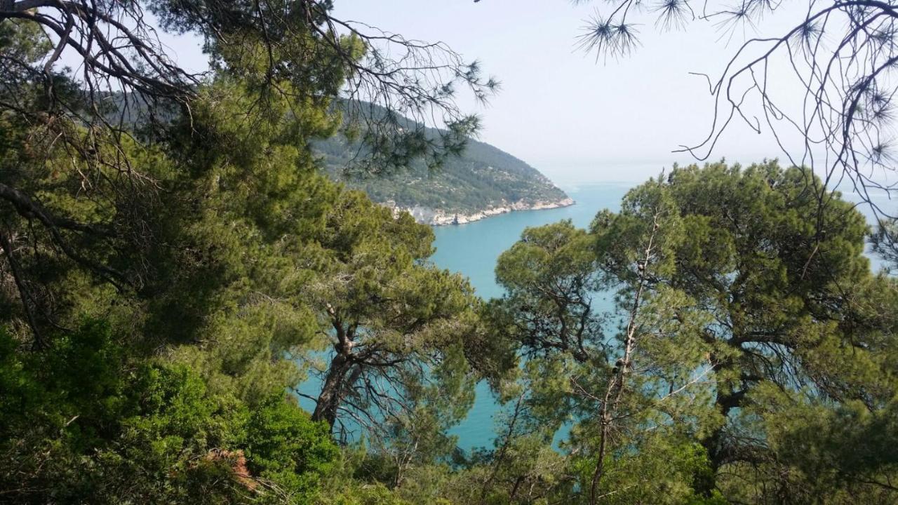 Olive&Sea Villa-Sea Mattinata Dış mekan fotoğraf