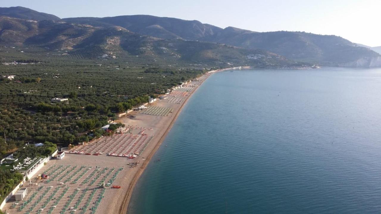 Olive&Sea Villa-Sea Mattinata Dış mekan fotoğraf