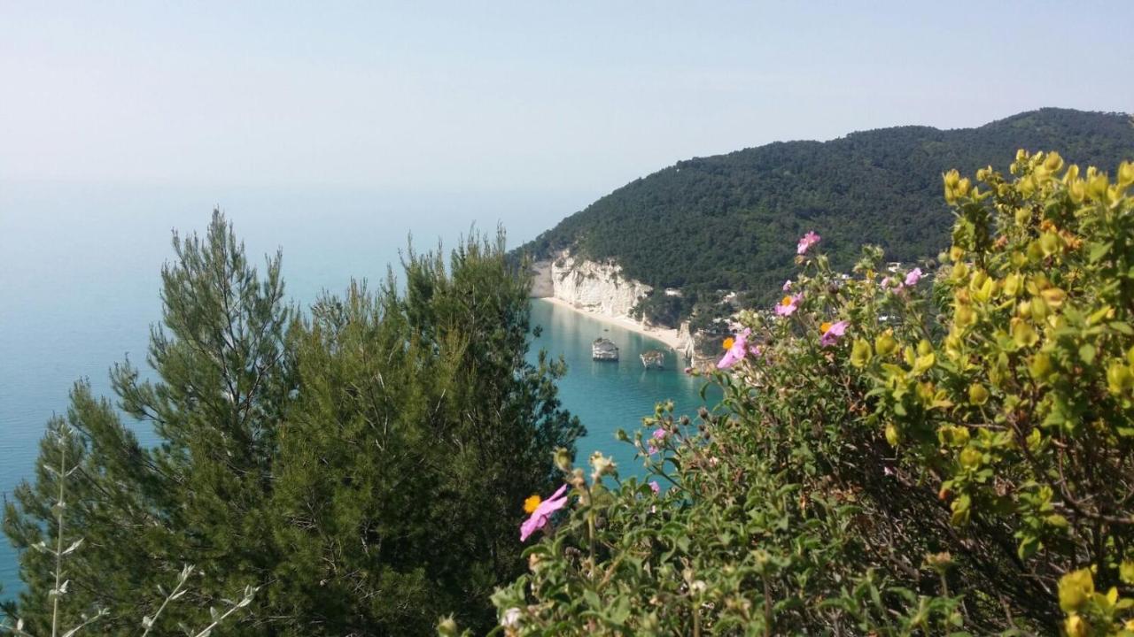 Olive&Sea Villa-Sea Mattinata Dış mekan fotoğraf