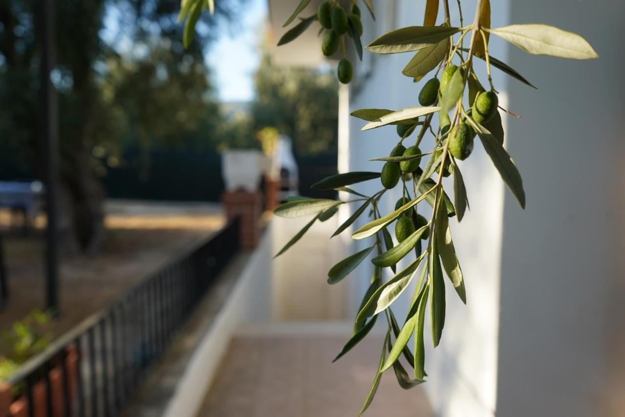 Olive&Sea Villa-Sea Mattinata Dış mekan fotoğraf