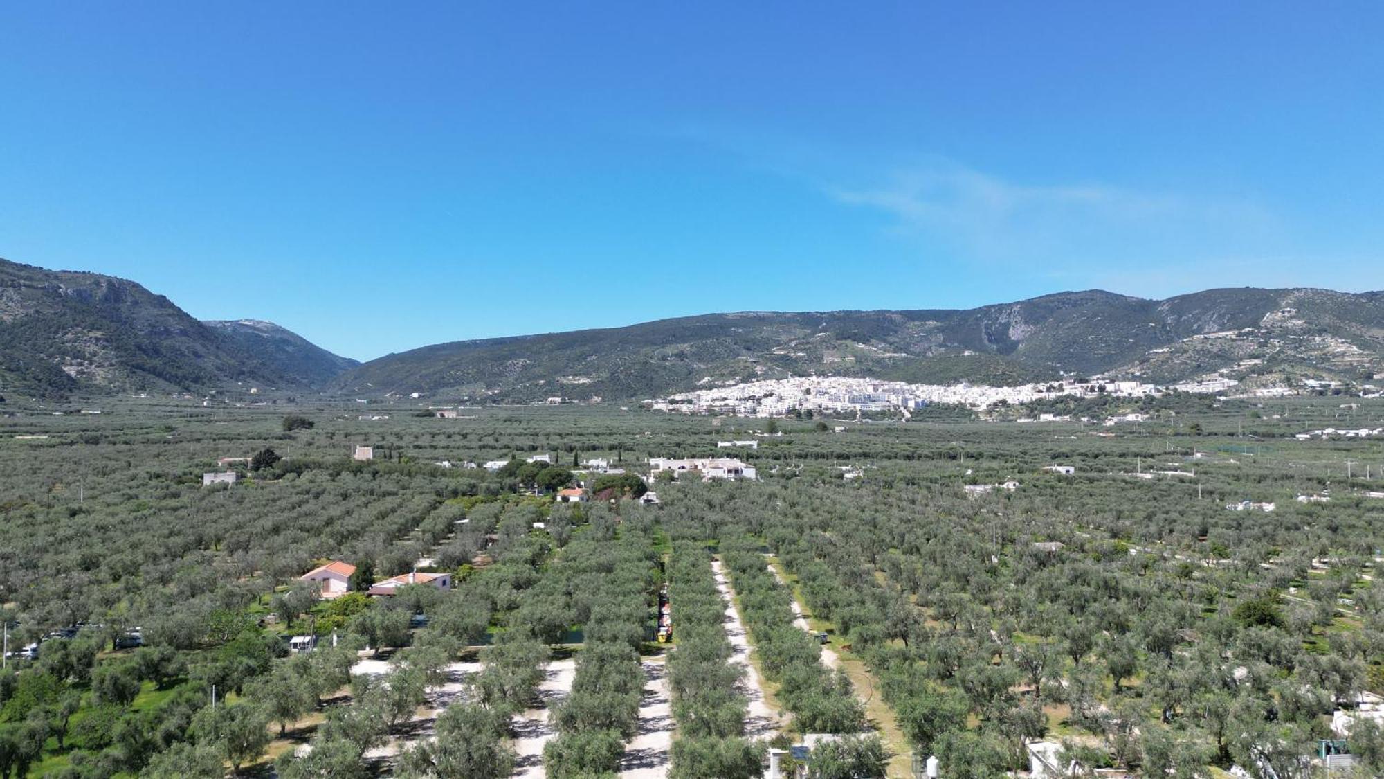 Olive&Sea Villa-Sea Mattinata Dış mekan fotoğraf