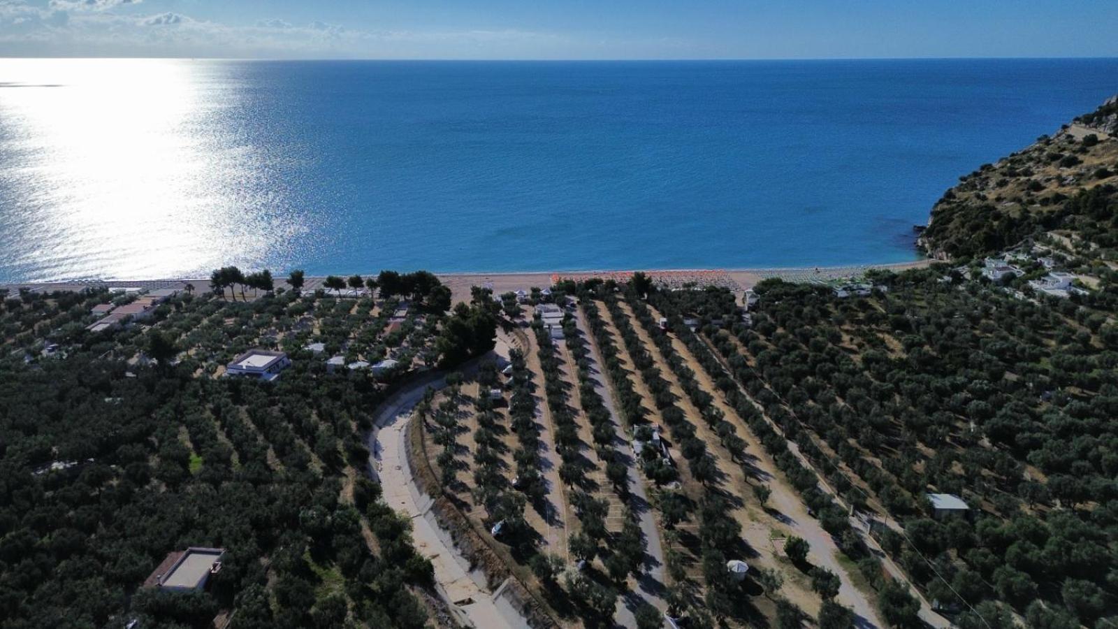 Olive&Sea Villa-Sea Mattinata Dış mekan fotoğraf