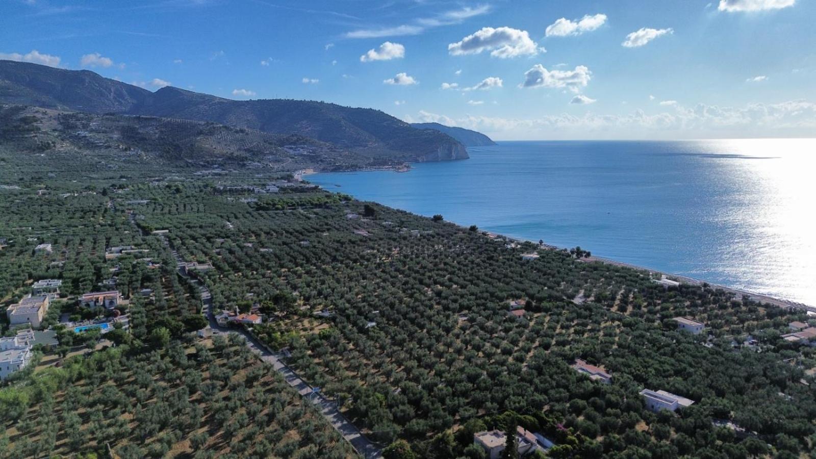 Olive&Sea Villa-Sea Mattinata Dış mekan fotoğraf